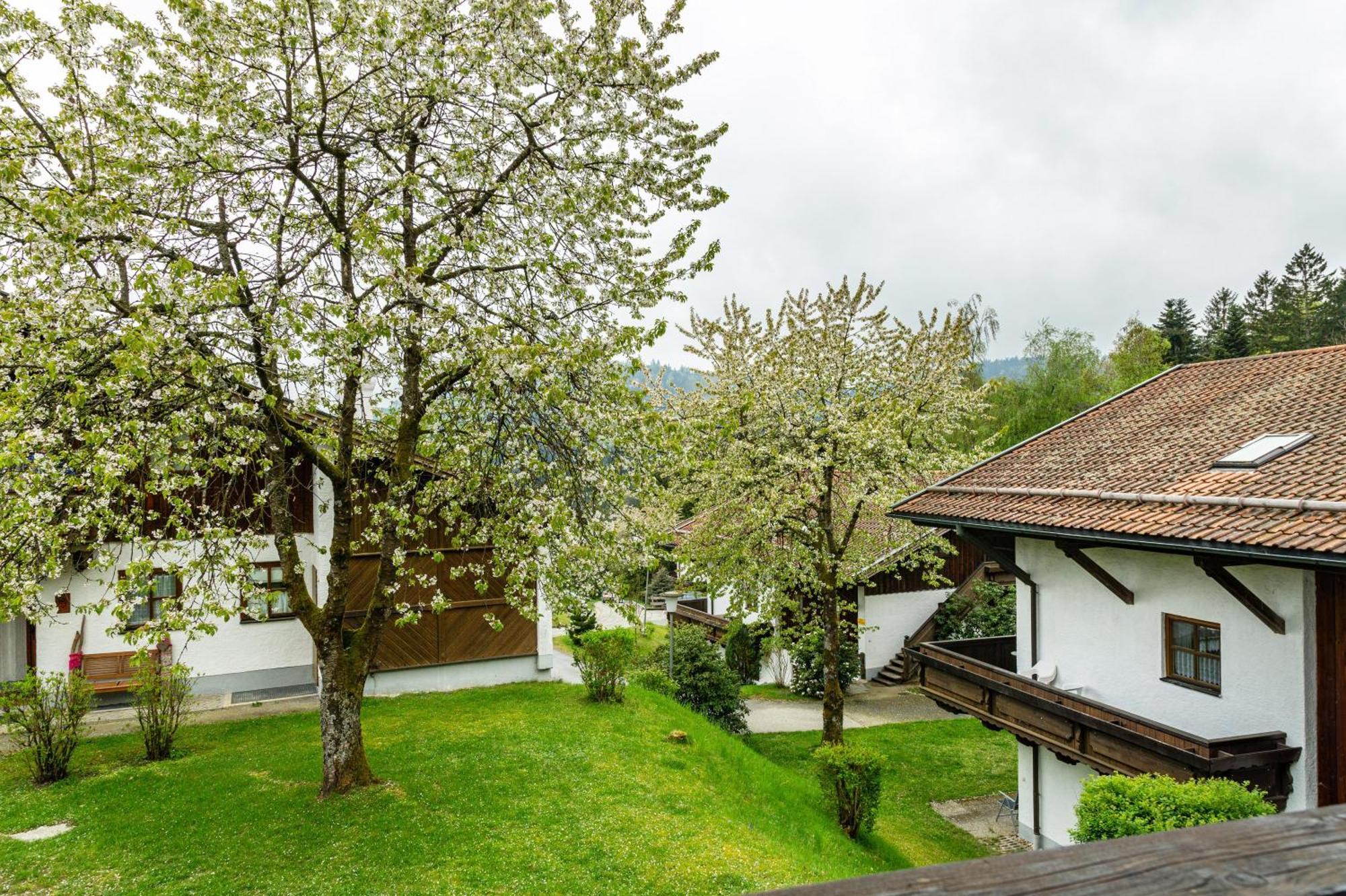 Komfortwohnung Mit Pool Und Sauna Hauzenberg Exterior photo